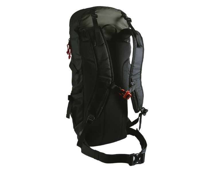 Рюкзак XP 240 xp02bp фото